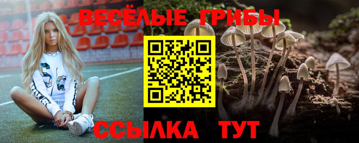 Галлюциногенные грибы Cubensis Череповец